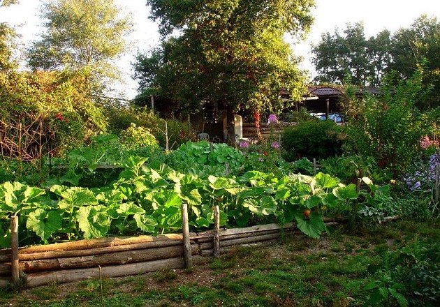 photo permaculture 1