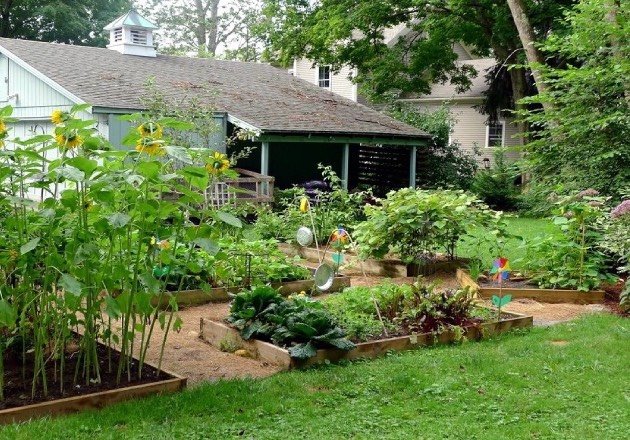 photo permaculture 2